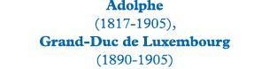 Adolphe (1817-1905), Grand-Duc de Luxembourg (1890-1905)