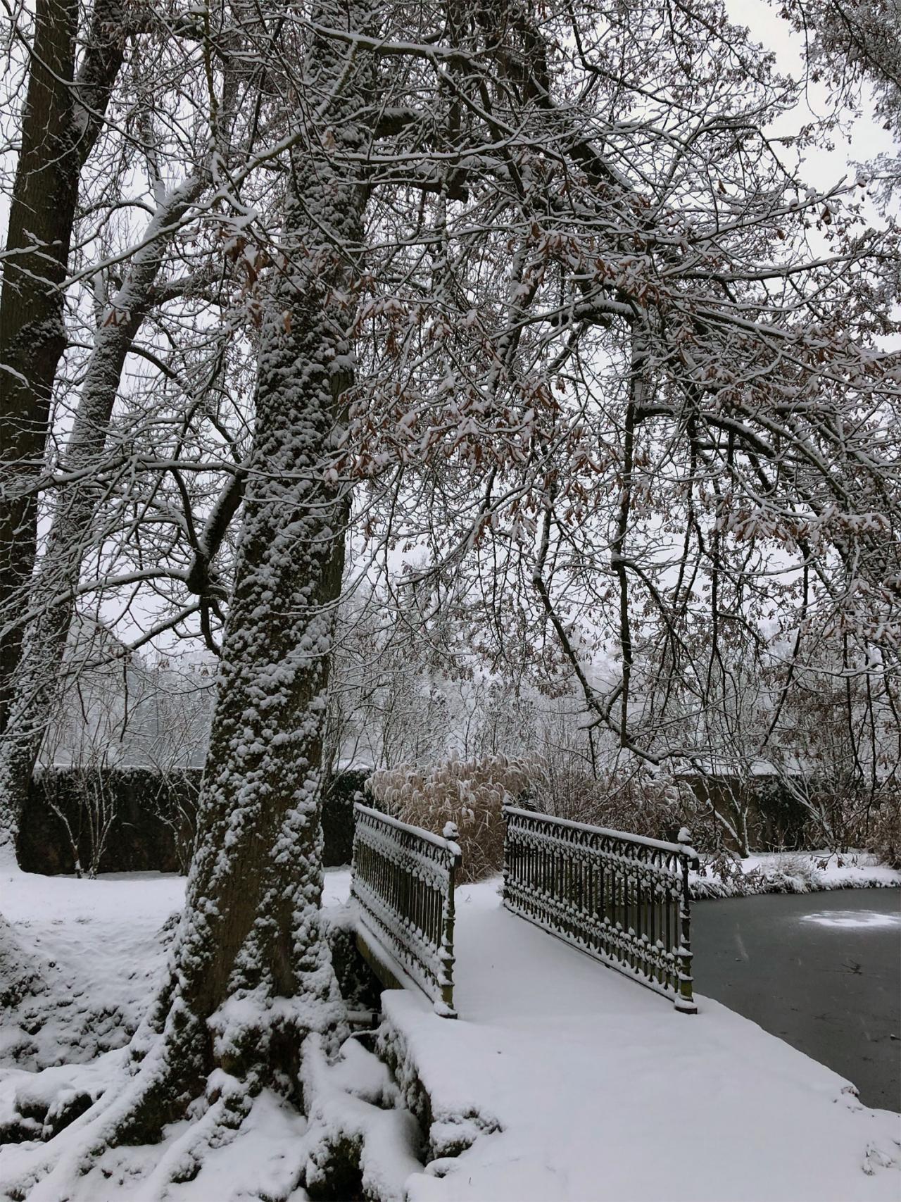 Schloss Berg unter einer Schneedecke