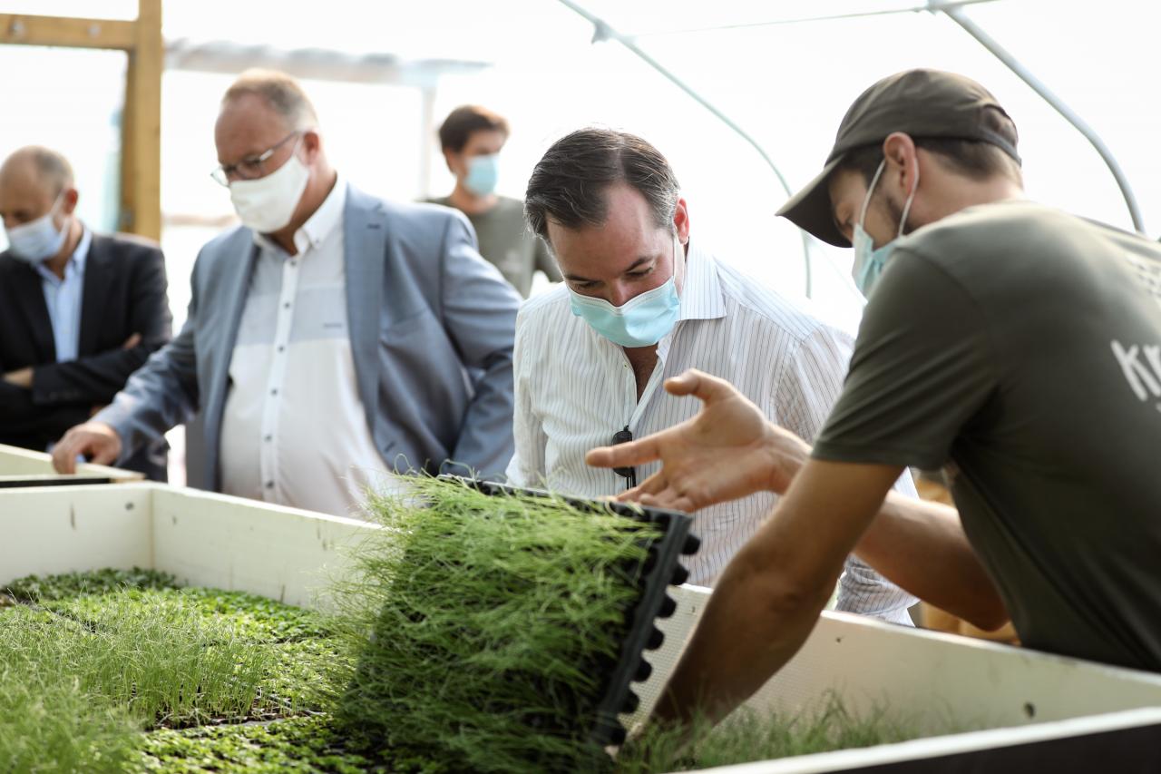 Visite de l'exploitation agricole "Krautgaart"