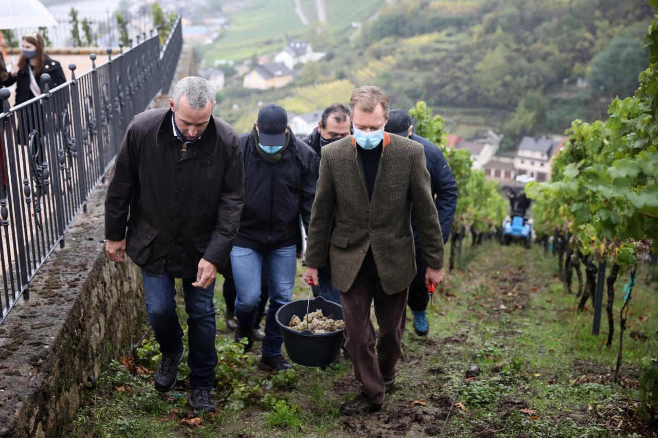 Le Grand-Duc a assisté aux vendanges dans les vignobles de la « Wormer Koeppchen ».