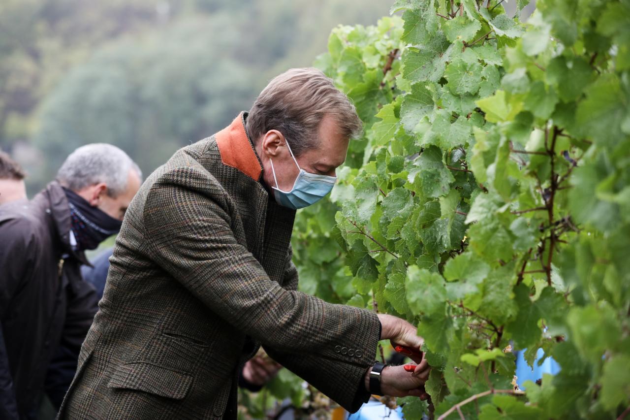 Le Grand-Duc a assisté aux vendanges dans les vignobles de la « Wormer Koeppchen ».