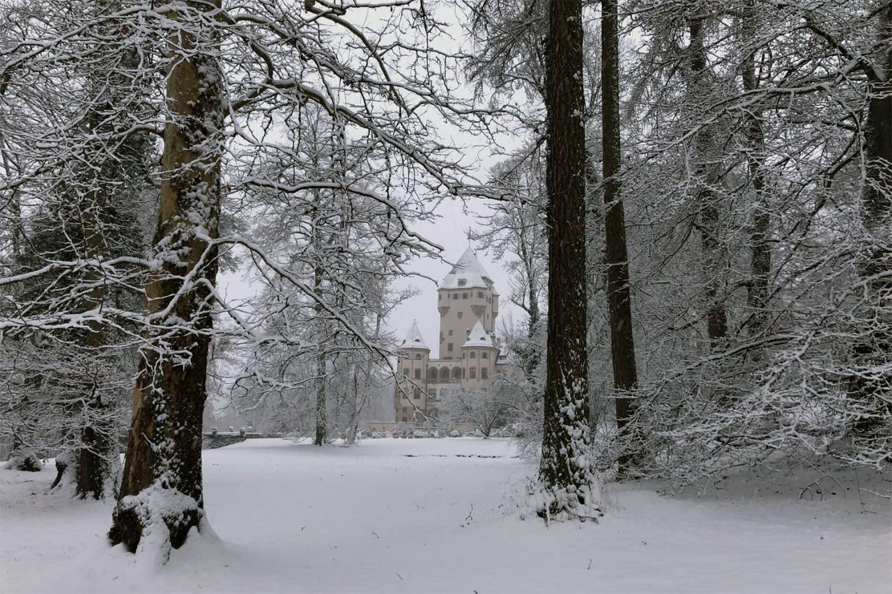 Janvier 2019: Le Château de Berg sous la neige