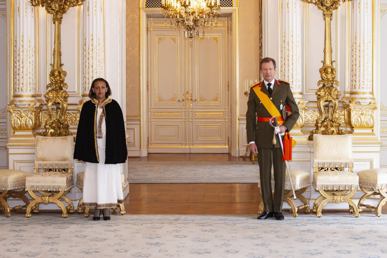 Son Excellence Madame Hirut Zemene KASSA, ambassadeur extraordinaire et plénipotentiaire de la République Fédérale Démocratique d’Éthiopie