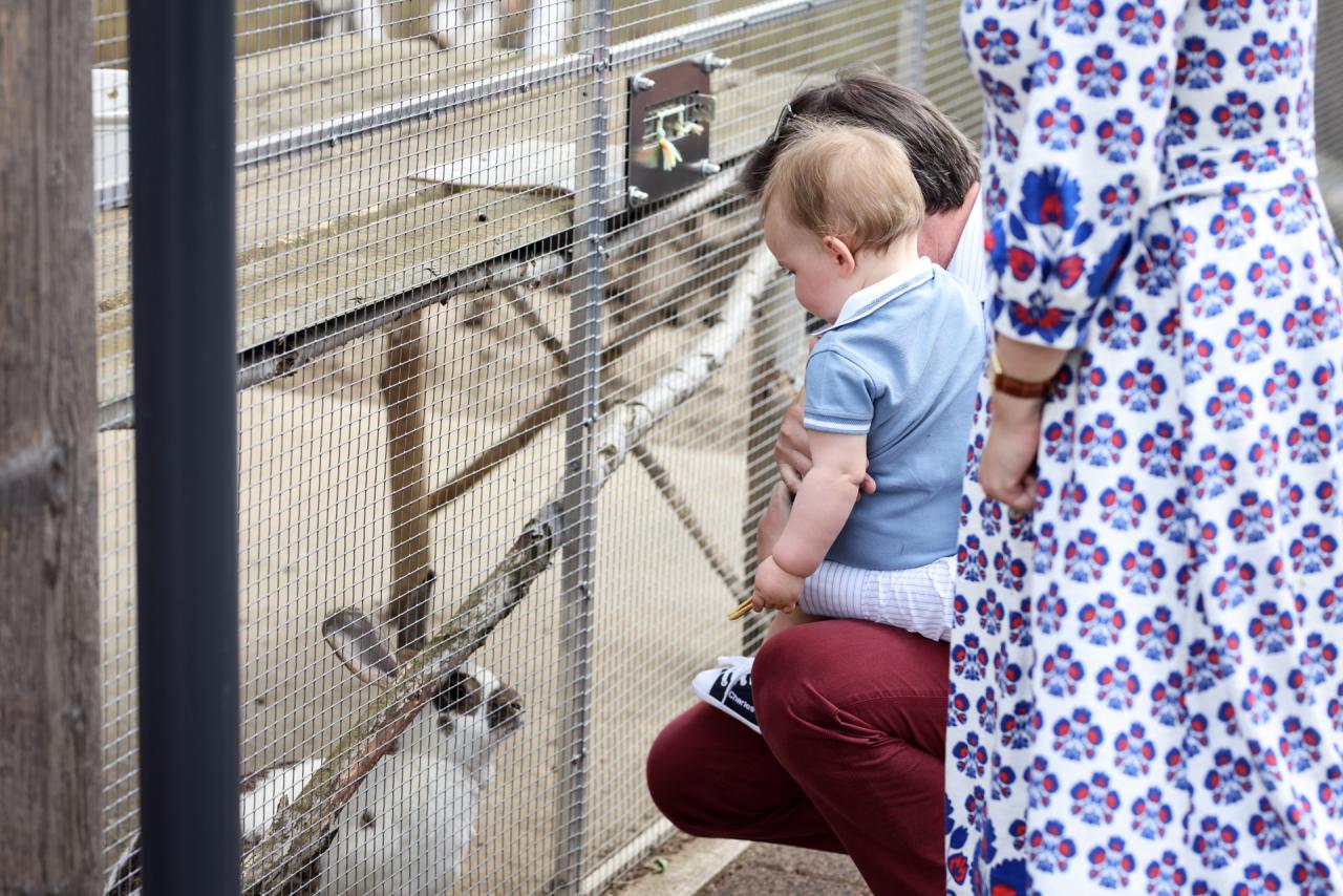 The Crown Prince and Prince Charles look at a rabbit