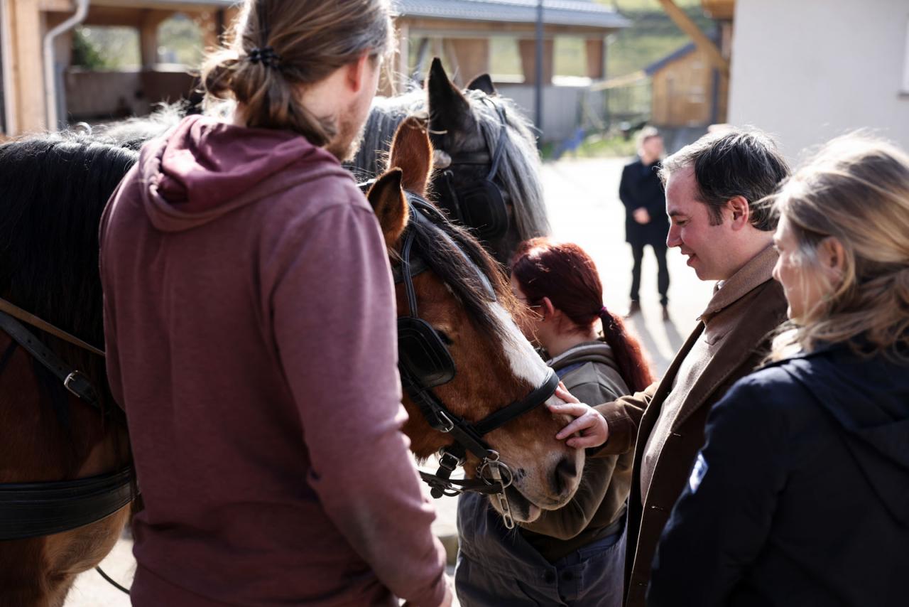 Le Prince Guillaume caresse le nez d'un cheval