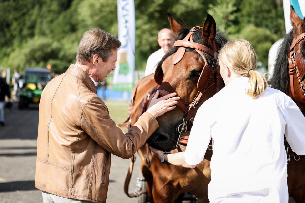 Le Grand-Duc caresse le museau d'un cheval