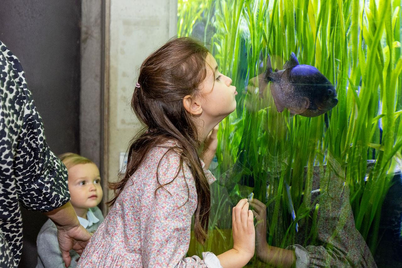 La Princesse Amalia observe de près un poisson