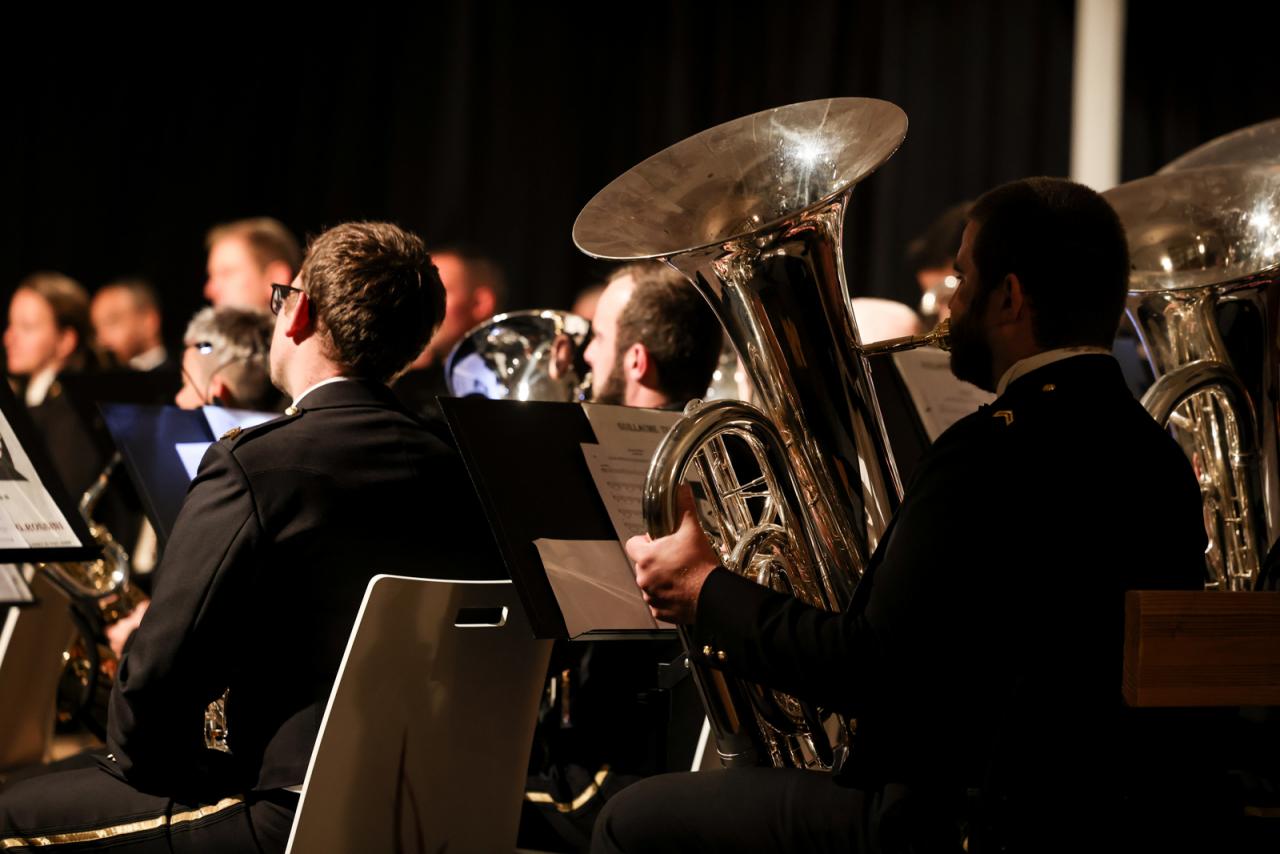 Vue artistique sur l'orchestre