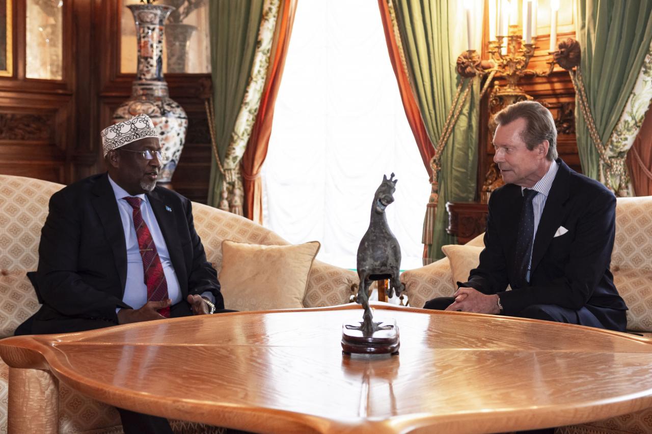 Le Grand-Duc échange avec le président du parlement somalien