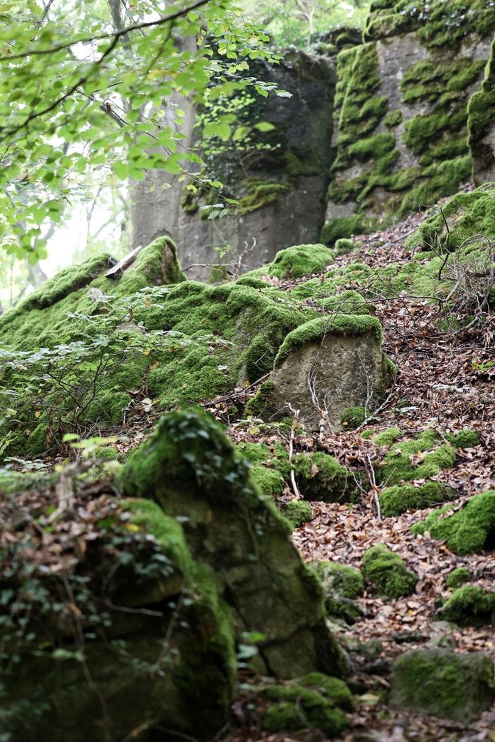 Vue sur les formations rocheuses du Geopark