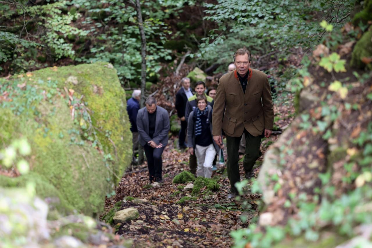 Le Grand-Duc marche dans la forêt