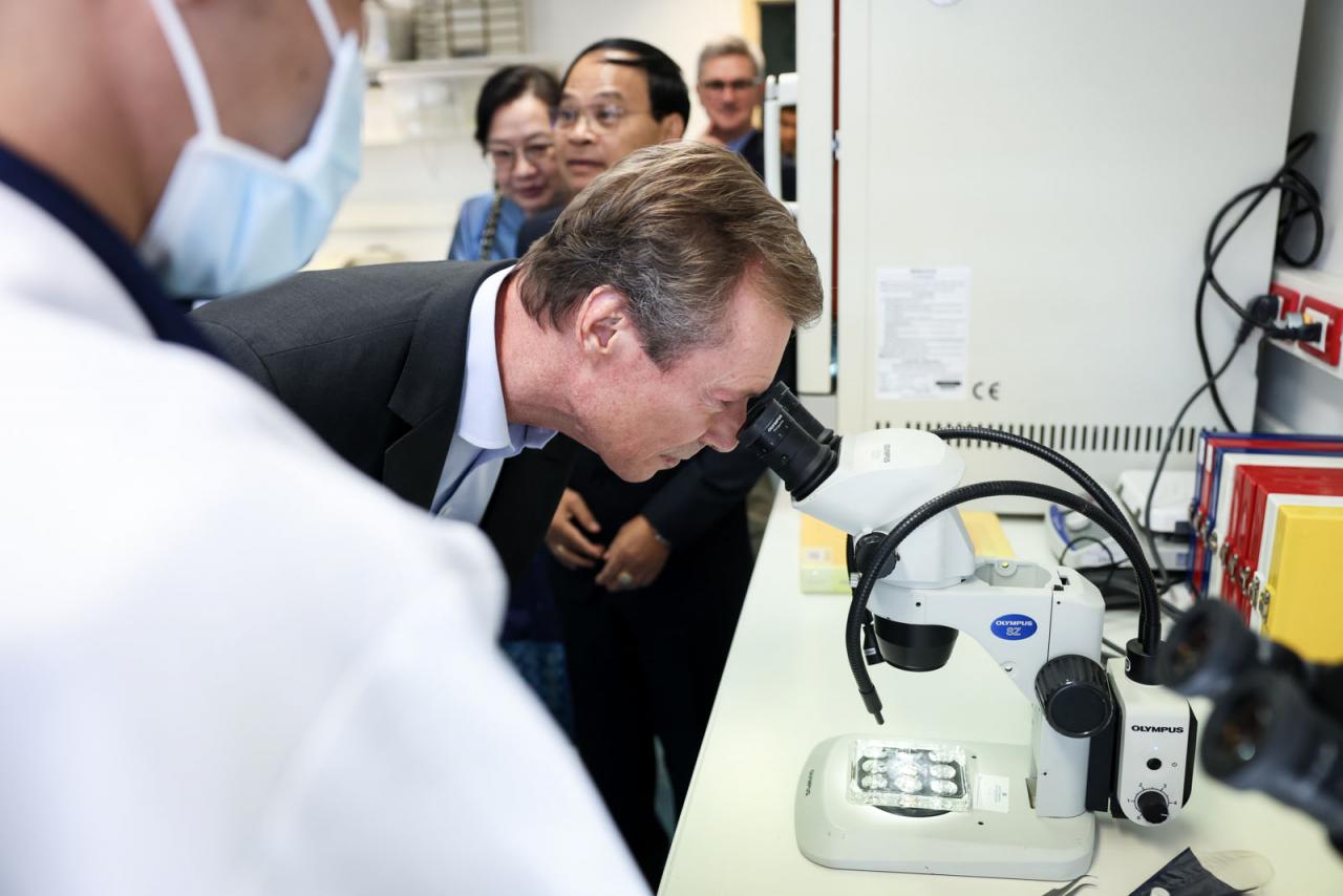 Le Grand-Duc observe un échantillon à travers un microscope