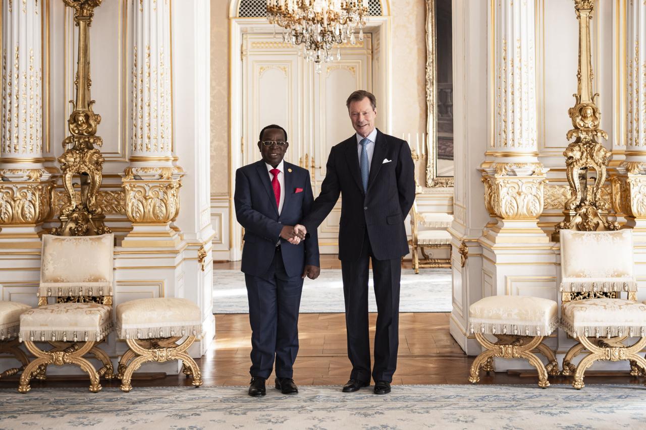 Photo officielle du Grand-Duc avec le Président du Sénat congolais