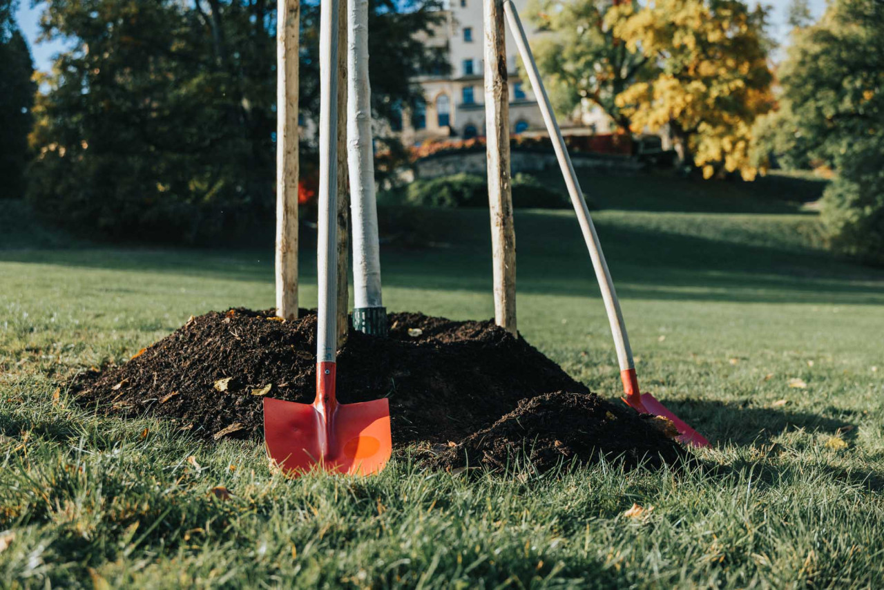 plantation_arbre_commemoratif_fhl-3.jpg