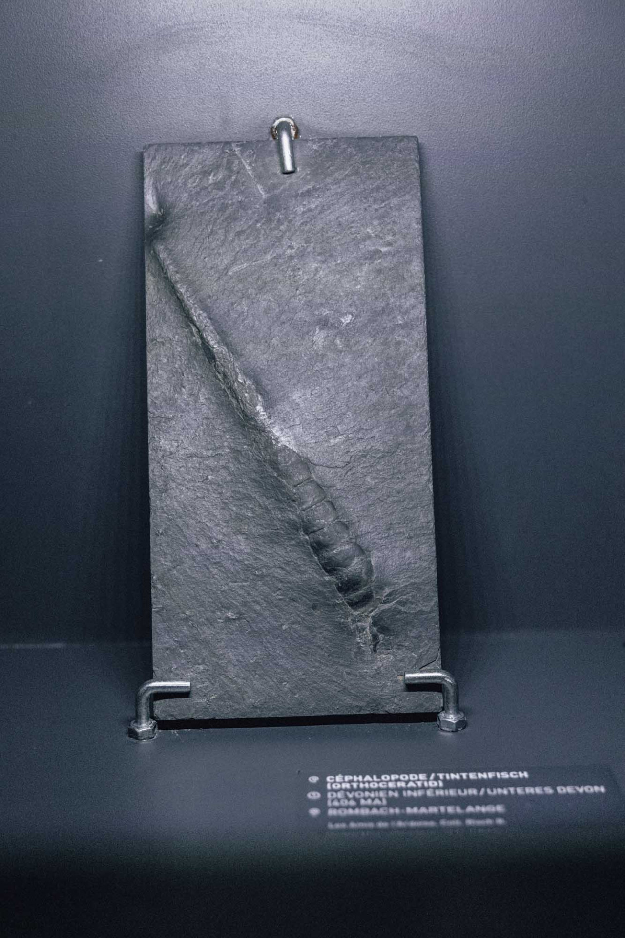visite_musee_ardoise-33.jpg