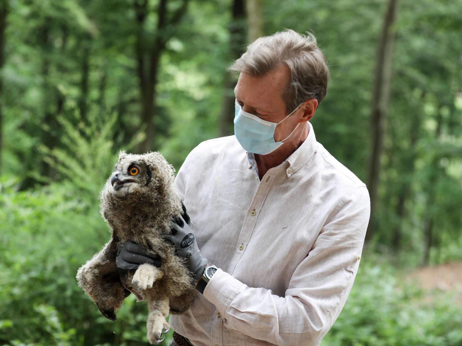 The Grand Duke holds an owl
