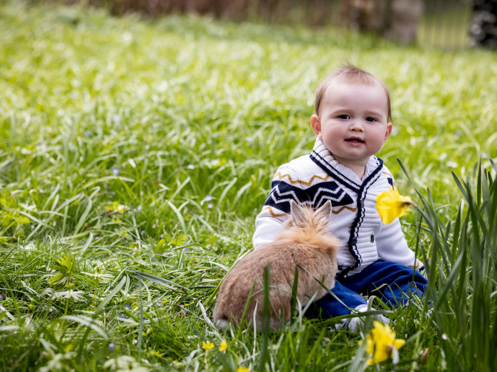 Photo portrait du Prince Charles avec lapin à l'occasion de son 1er anniversaire
