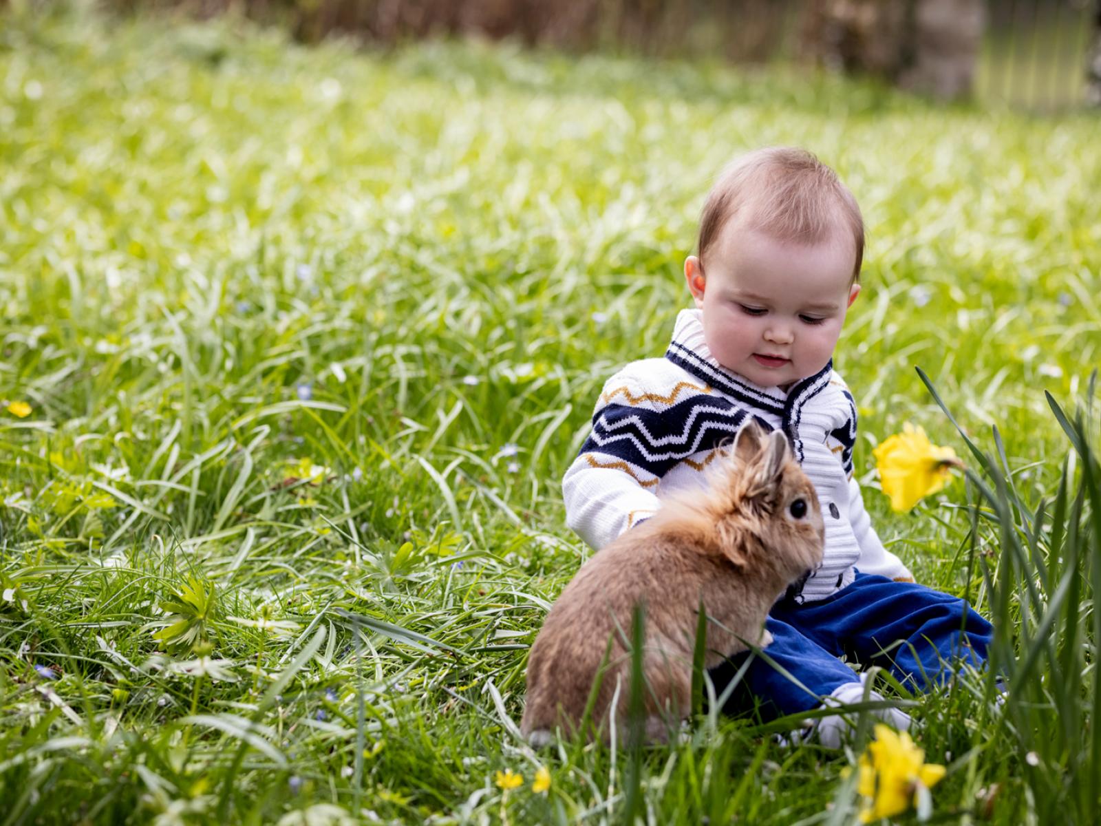 Photo portrait du Prince Charles avec un lapin à l'occasion de son 1er anniversaire