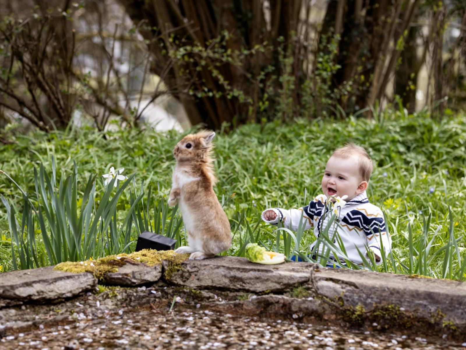 Prince Charles watching a bunny