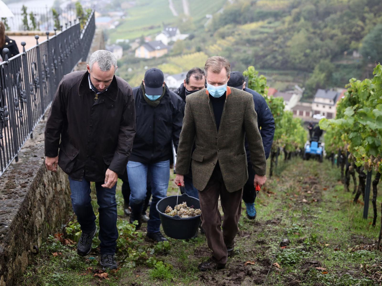 Le Grand-Duc participe à une vendange dans un vignoble de la Moselle
