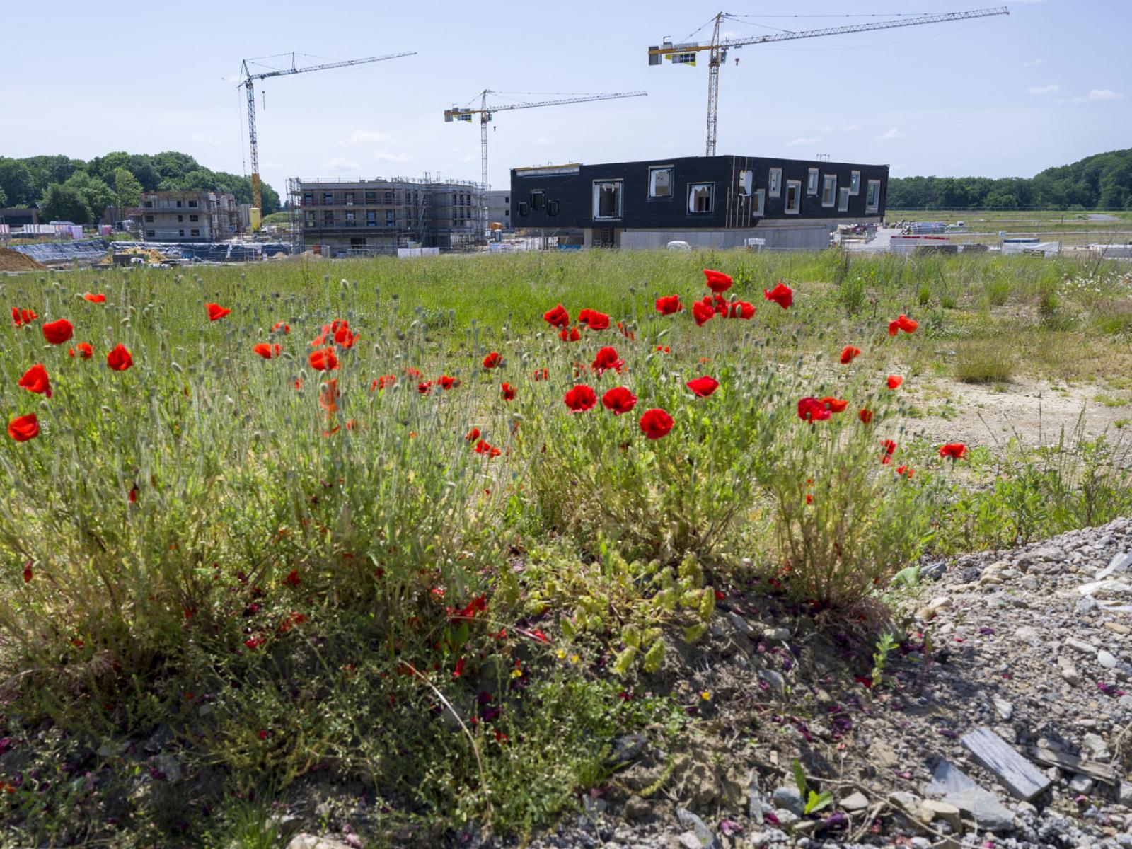 Vue sur le chantier du quartier "Elmen"