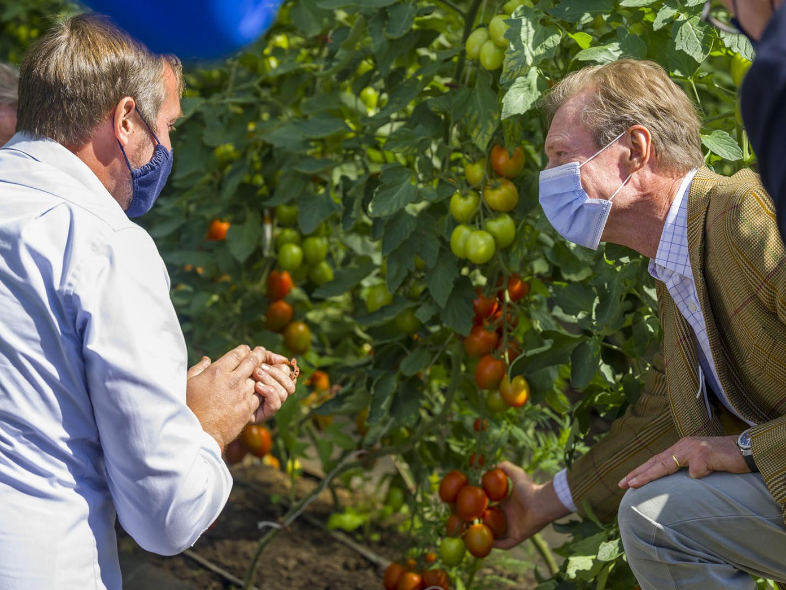 Le Grand-Duc écoute les explications sur la culture de tomates