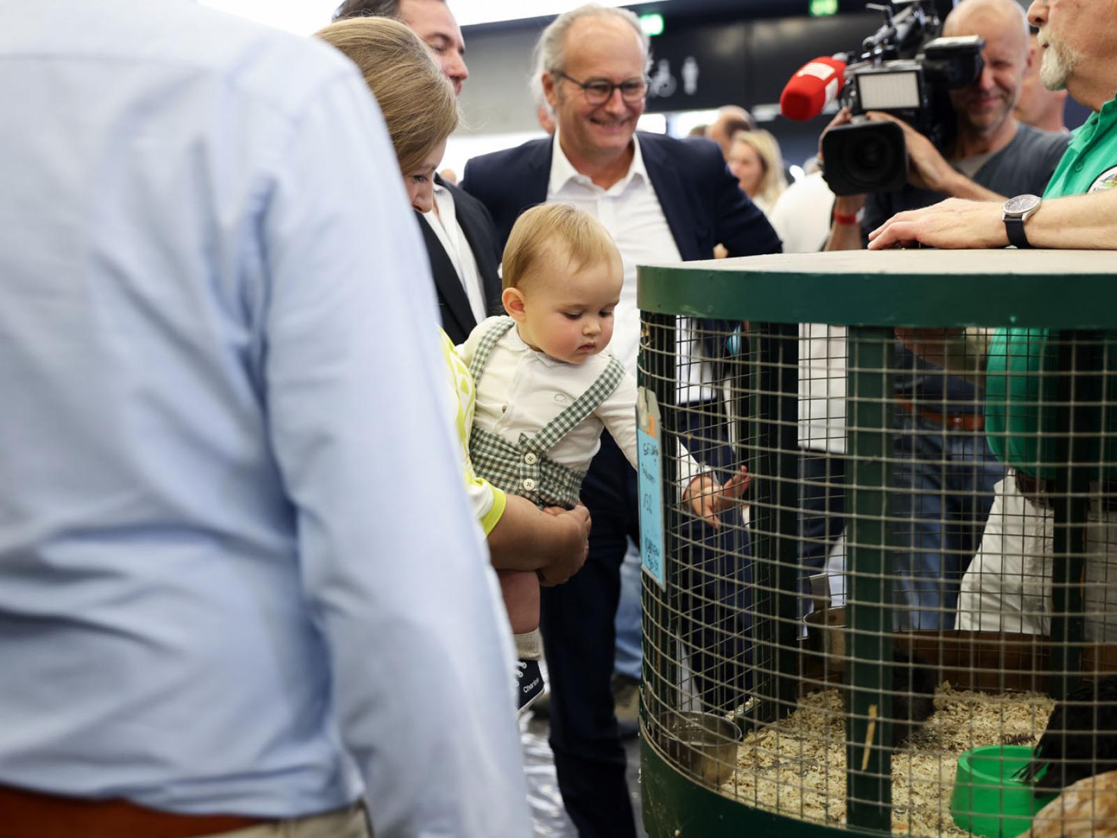 Le Prince Charles observe des poules