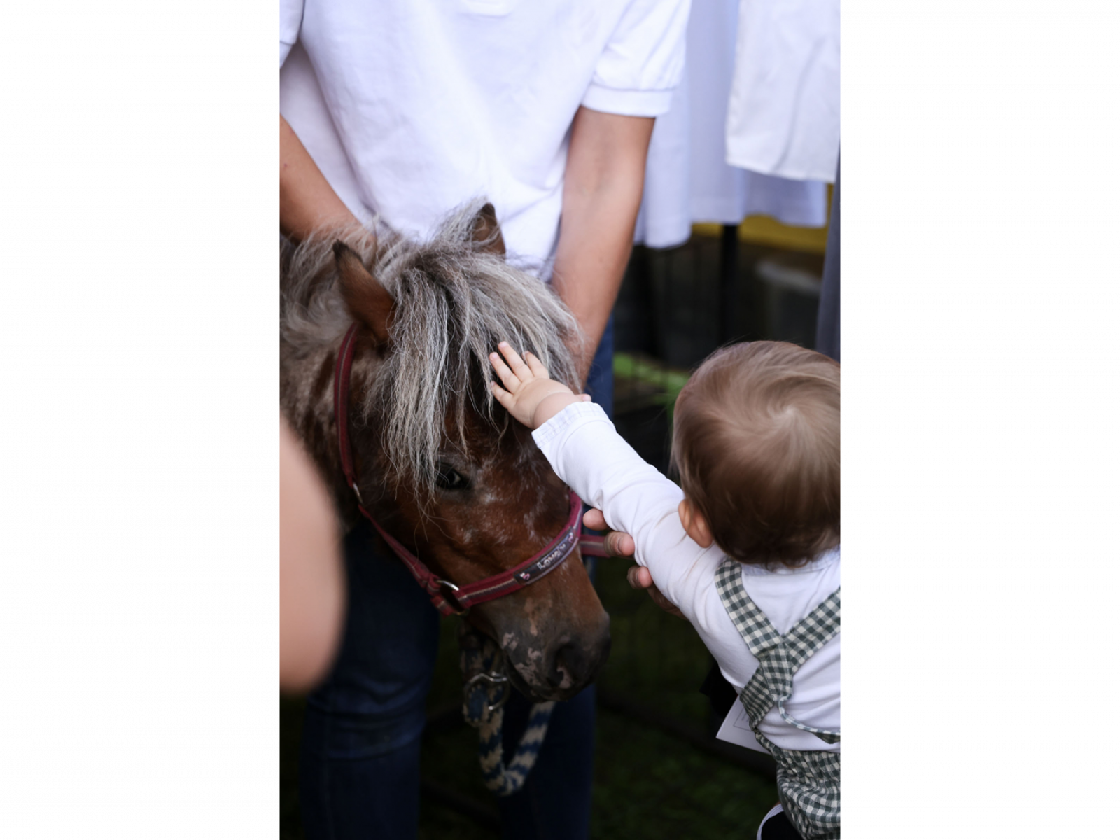 Le Prince Charles caresse la crinière d'un poney