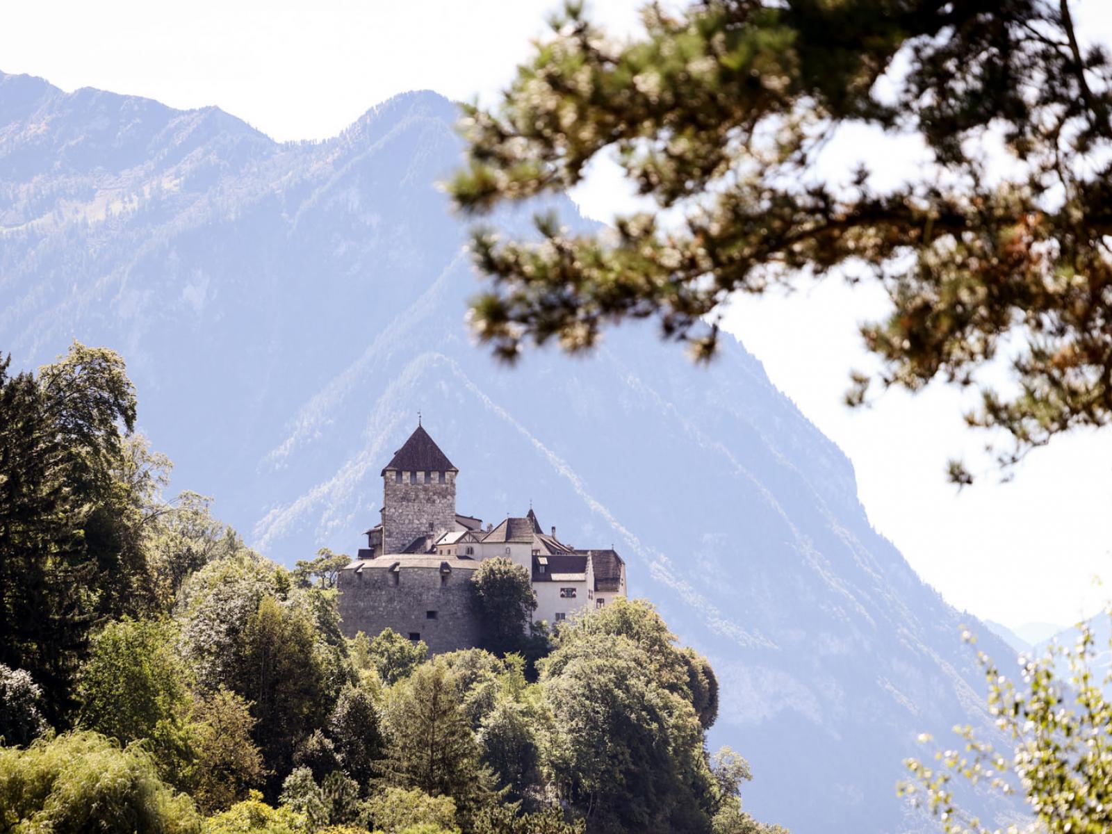 Vue sur le Château de Vaduz