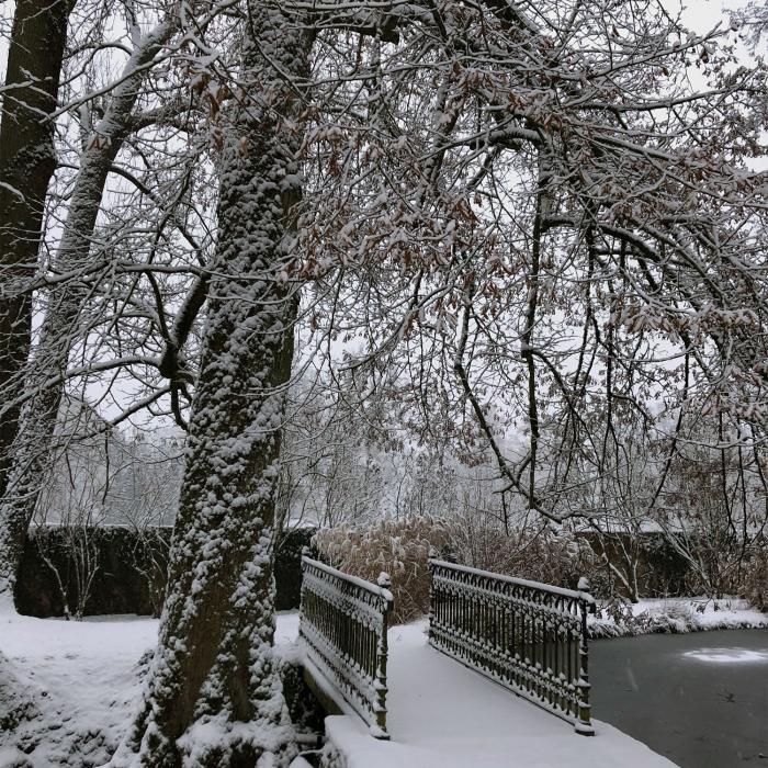 Schloss Berg unter einer Schneedecke