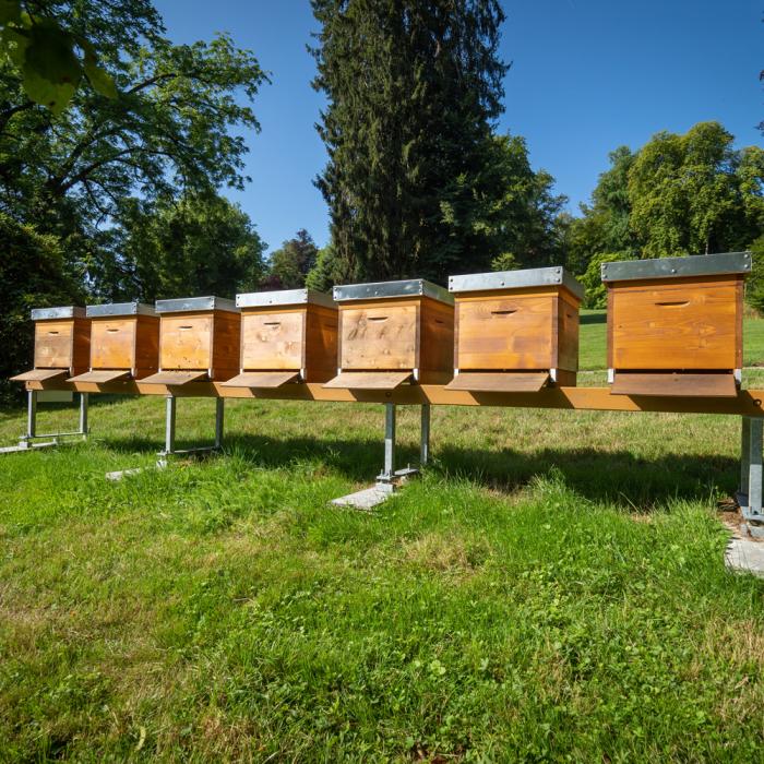 Les Jardins du Château de Berg pendant l'été