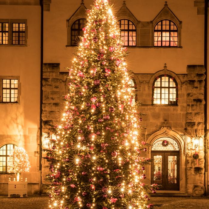 Christmas decorations at Berg Castle - December 2017