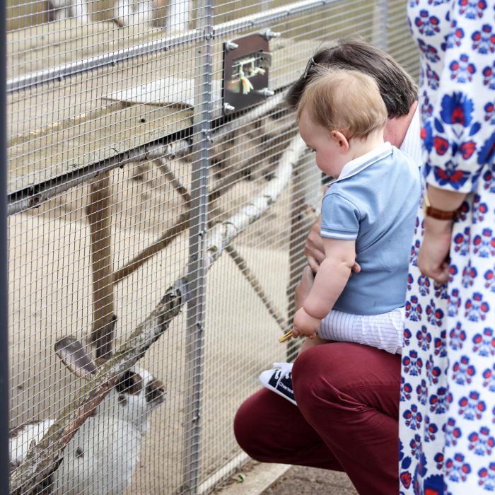 The Crown Prince and Prince Charles look at a rabbit