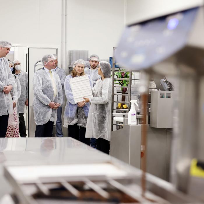 Vue de l'atelier de production de chocolat