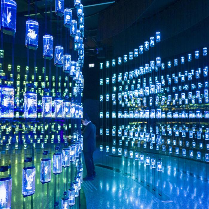 Le Grand-Duc au centre d'une exposition du Musée du Futur