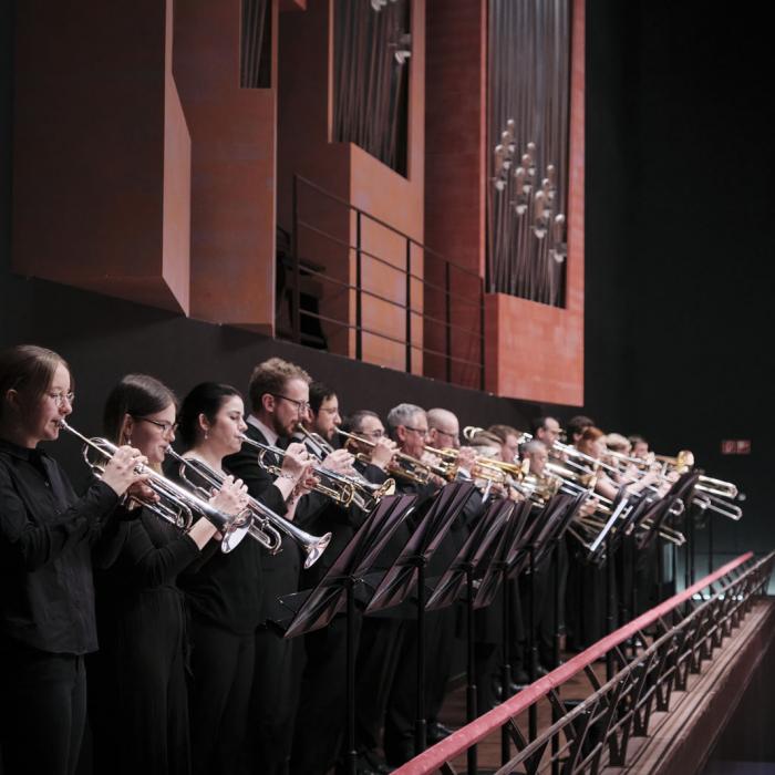 L'orchestre à l'oeuvre durant le concert hommage