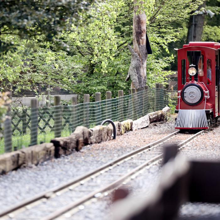 Le train électrique du Parc Merveilleux