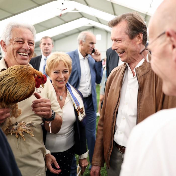 Le Grand-Duc observe un coq