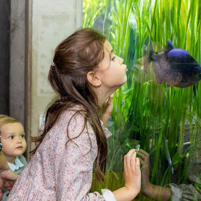 La Princesse Amalia observe de près un poisson