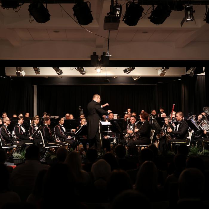 Vue sur l'orchestre en train de se produire