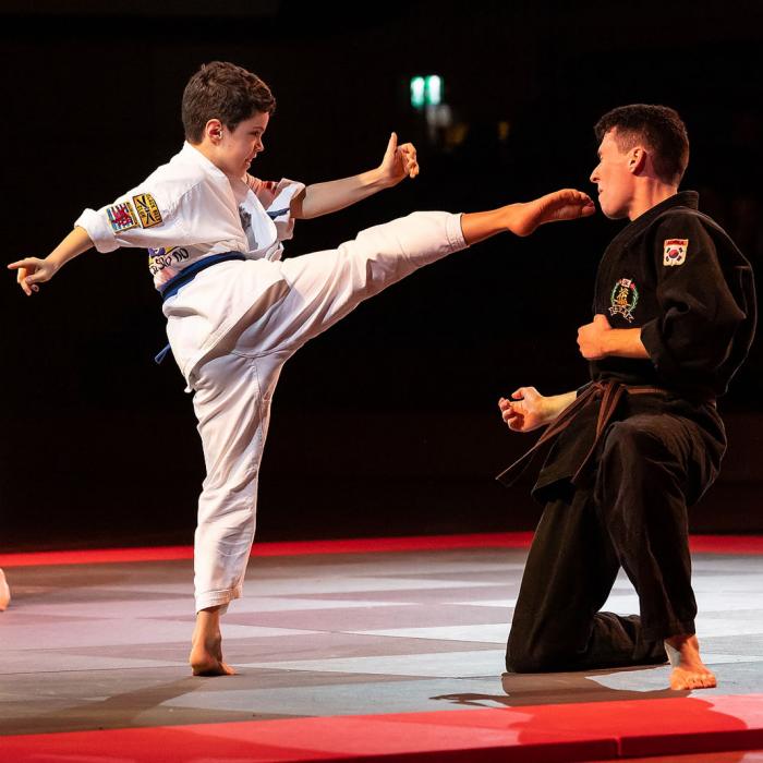 Démonstration d'un sport de combat