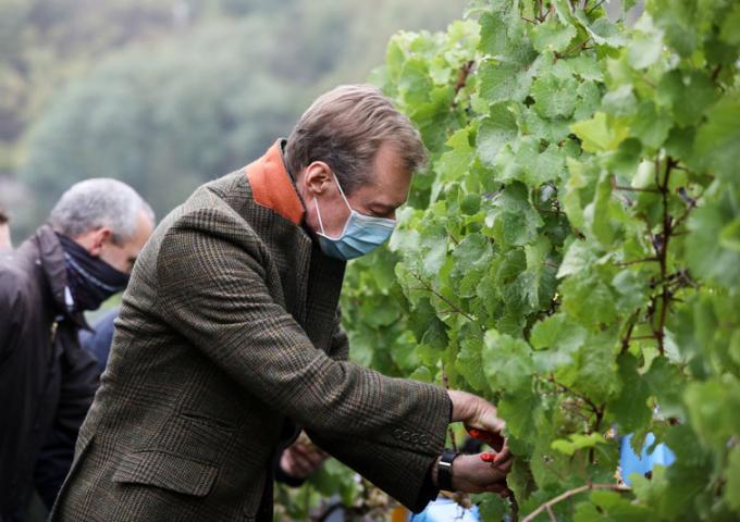 Le Grand-Duc a assisté aux vendanges dans les vignobles de la « Wormer Koeppchen ».