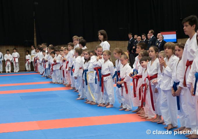 Fédération Luxembourgeoise des Arts Martiaux
