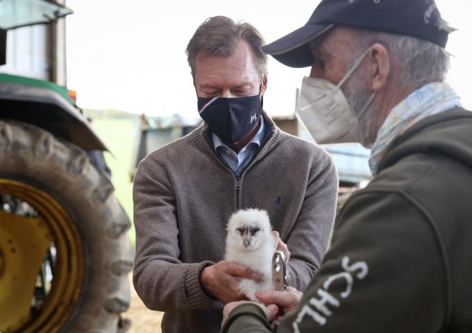 Le Grand-Duc rencontre un hibou grand-duc