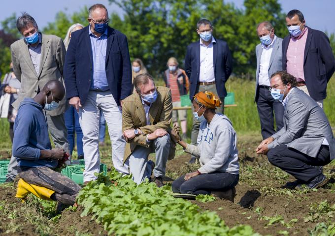 Le Grand-Duc s'entretient avec les employés de l'exploitation maraîchère