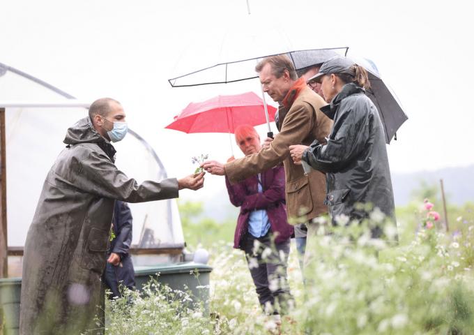 Le Grand-Duc saisit une plante du jardin