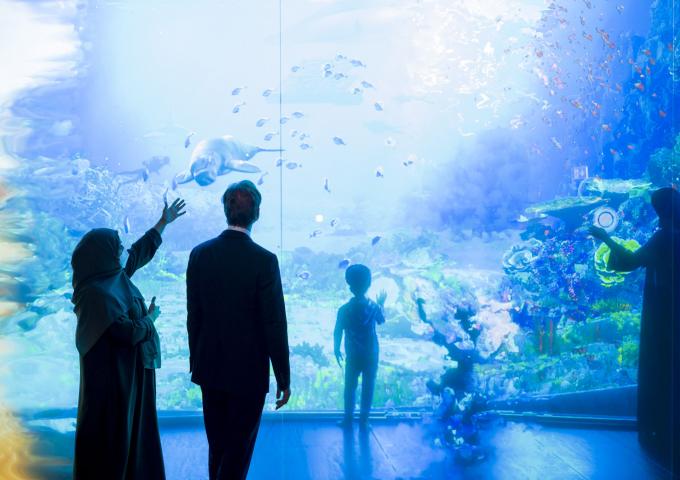 Le Grand-Duc découvre une exposition du Musée du Futur