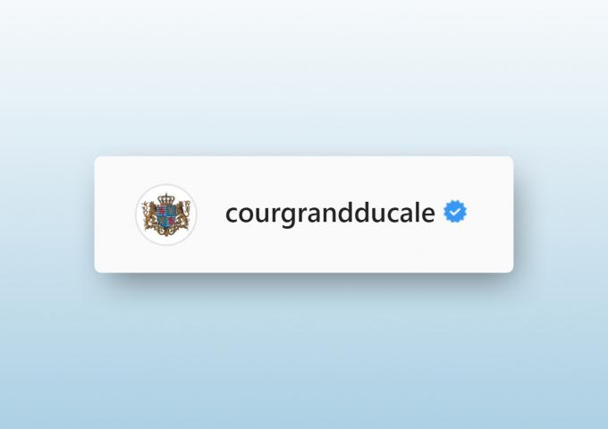 Visuel illustrant un compte réseau social vérifié