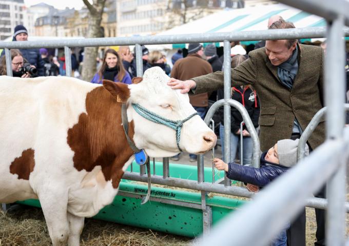 Le Grand-Duc caresse une vache