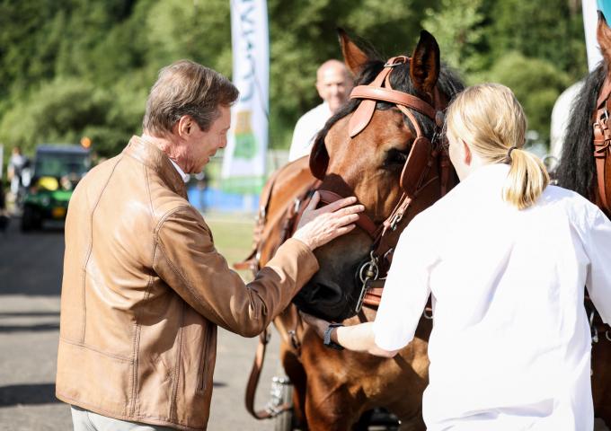 Le Grand-Duc caresse le museau d'un cheval